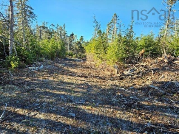 Vacant Land - Port LaTour Road